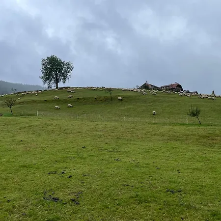 Апартаменты Am Baumgarten