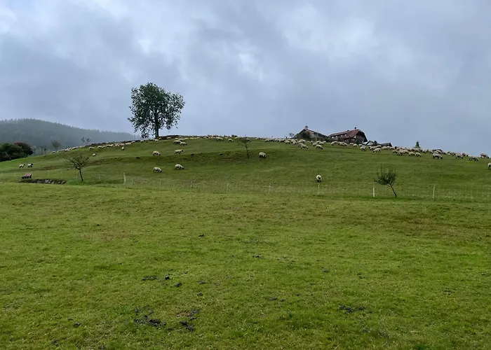 Appartement Am Baumgarten